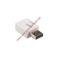 USB адаптер PISEN для зарядки Apple iPad все версии от USB разъема ПК преобразователь тока, европакет